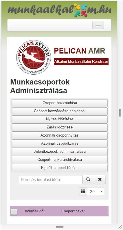 mobil nézet