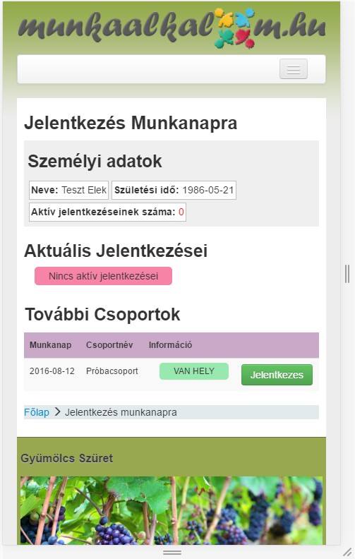 mobil nézet
