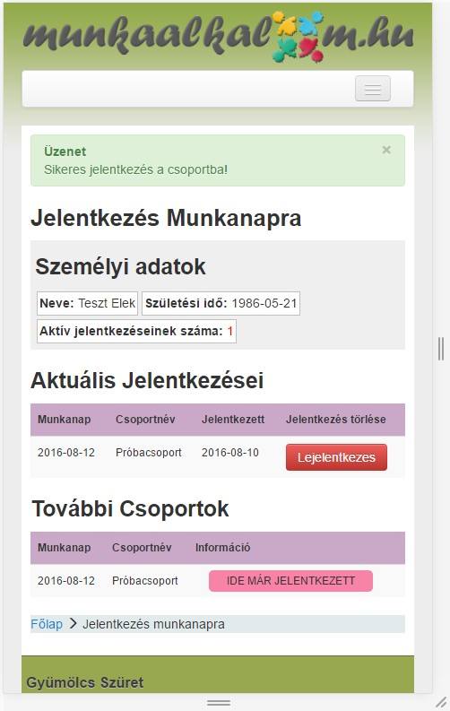 mobil nézet